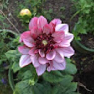 Meet your Posher, June